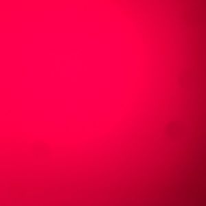 Meet your Posher, Margaret