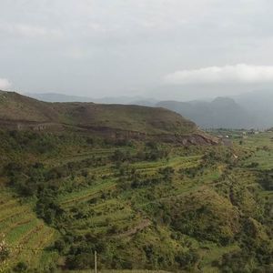 Meet your Posher, Zami