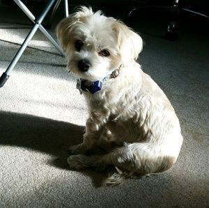 Meet your Posher, Alexandra