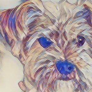 Meet your Posher, Joel