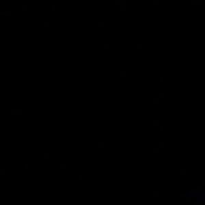 Meet your Posher, Ebony