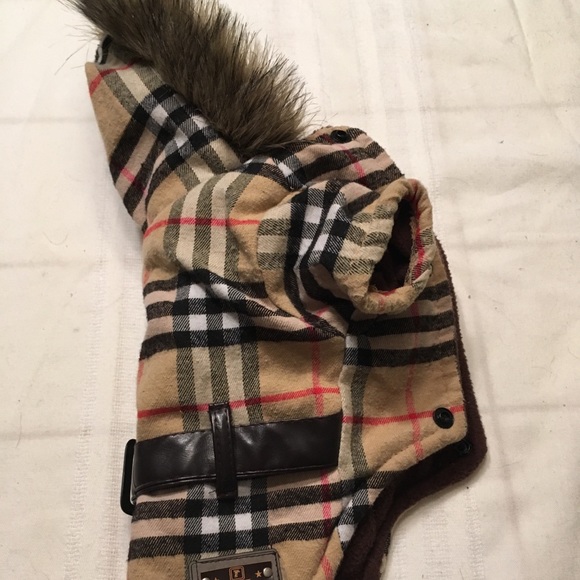 burberry dog coats