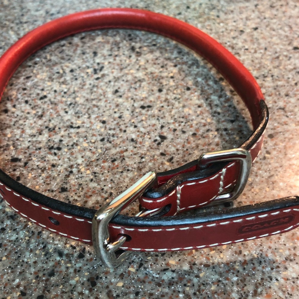 Coach dog collar