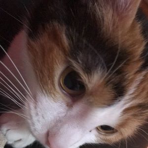 Meet your Posher, Mia