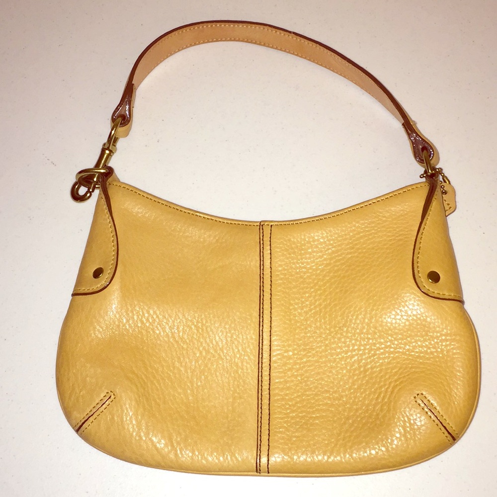 Coach Mini Hobo Bag