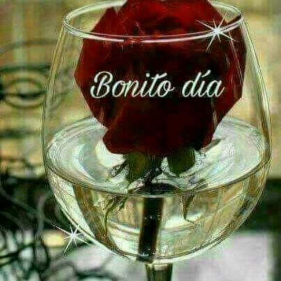 Meet your Posher, Monica - Picture 1 of 1