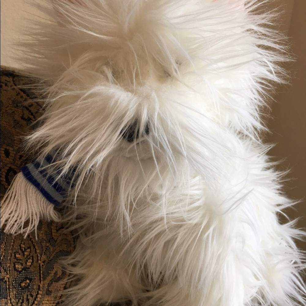 Meet your Posher, Denise