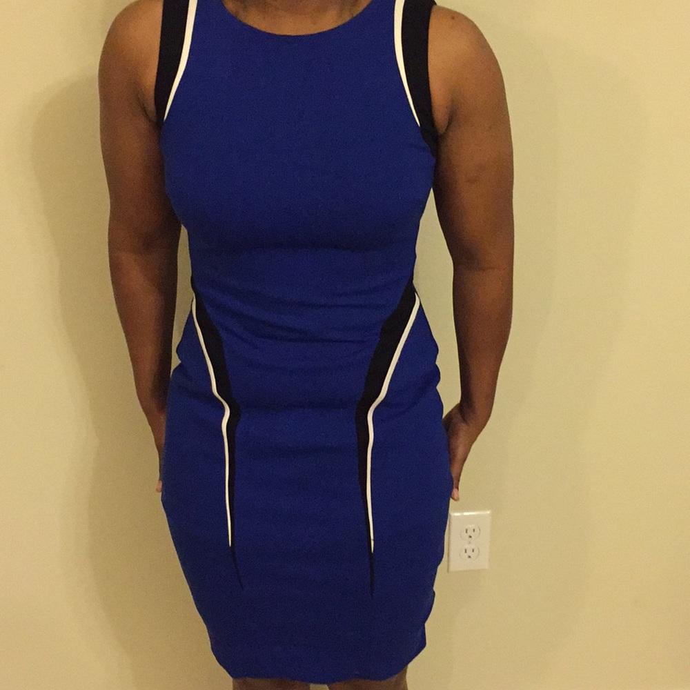 Cache sheath dress size 2