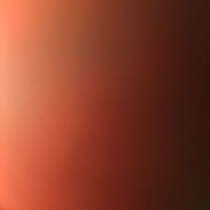 Meet your Posher, Mona