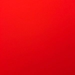 Meet your Posher, Ricky