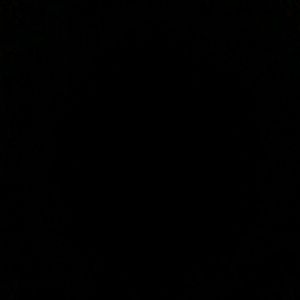 Meet your Posher, Darius