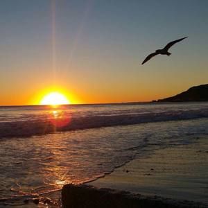 Meet your Posher, Silvia