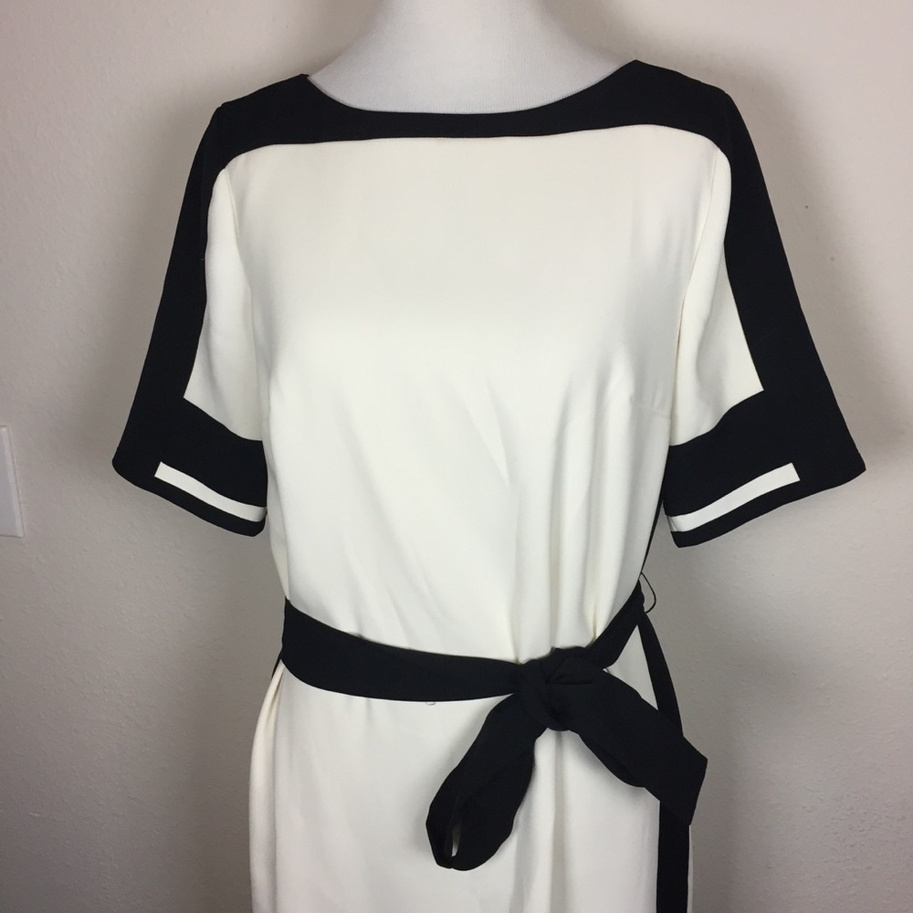 Ann Taylor Belted Shift Dress - Picture 4 of 8