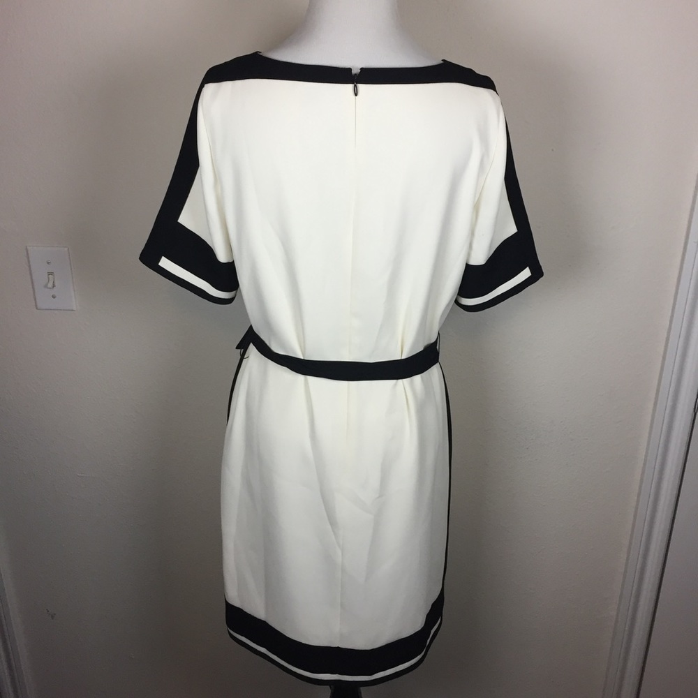 Ann Taylor Belted Shift Dress - Picture 5 of 8