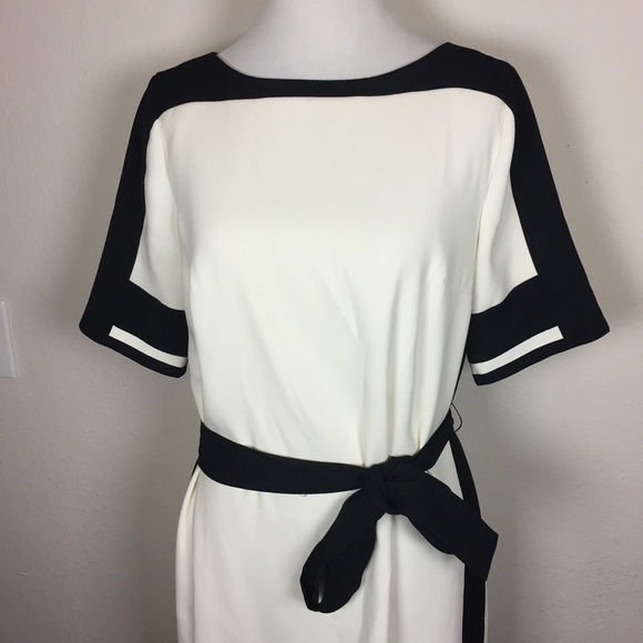 Ann Taylor Belted Shift Dress - Picture 4 of 8