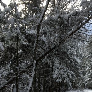 Meet your Posher, Nicholas