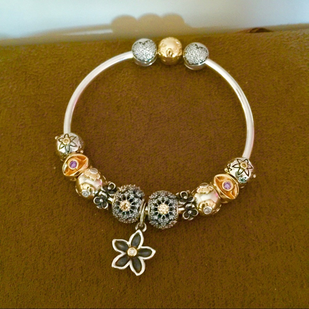 My pandora collection since 2007!!! ๐ - Picture 5 of 8