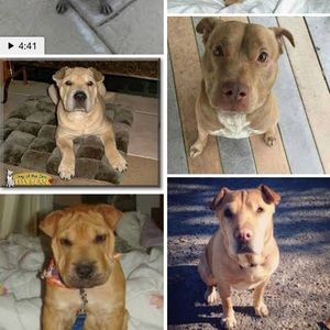 Meet your Posher, Mark