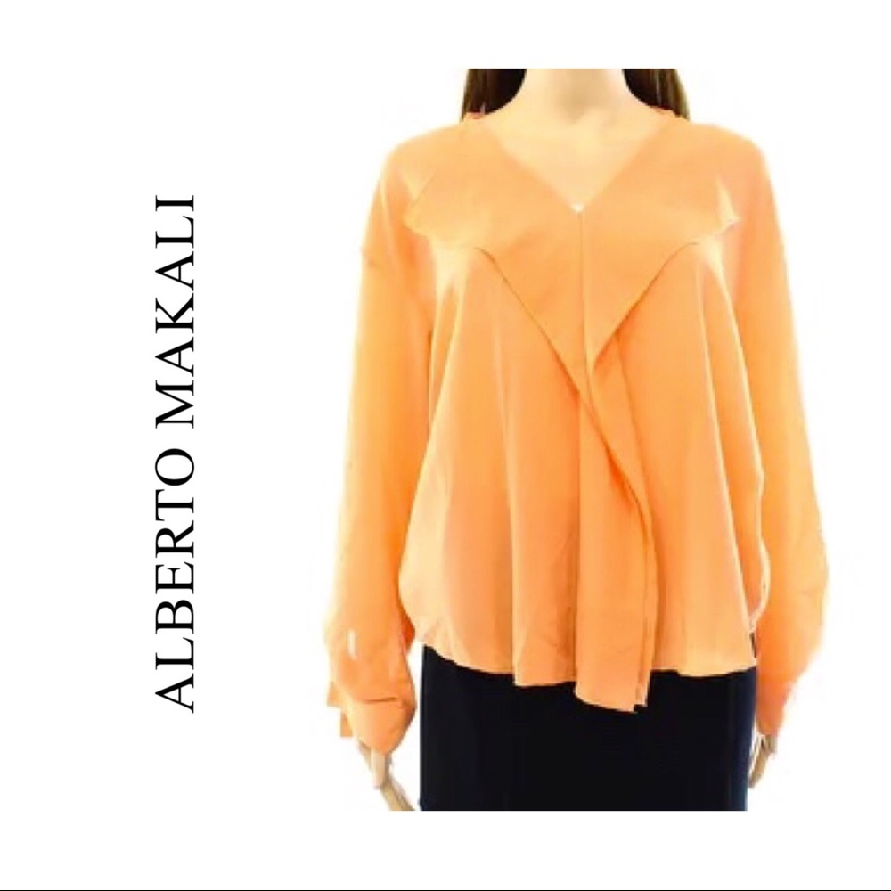 NWT Orange Fall Long Sleeve Ruffled V-Neck Blouse