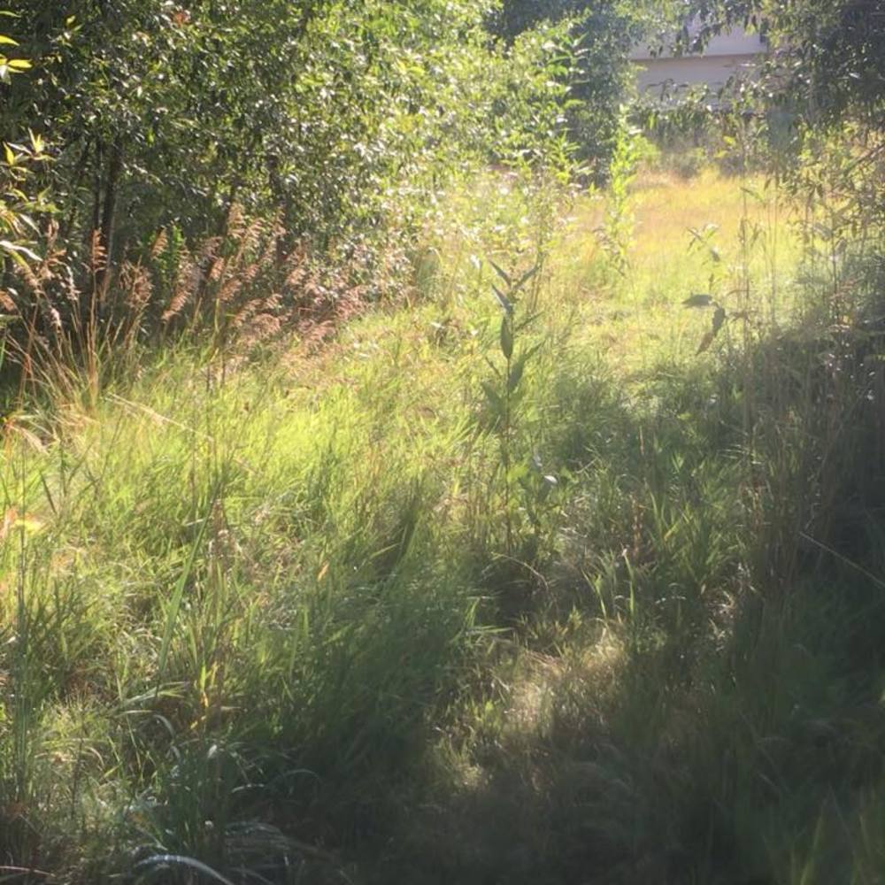 Meet your Posher, Mell