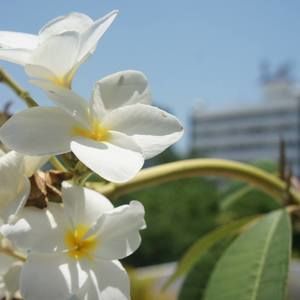 Meet your Posher, Harry