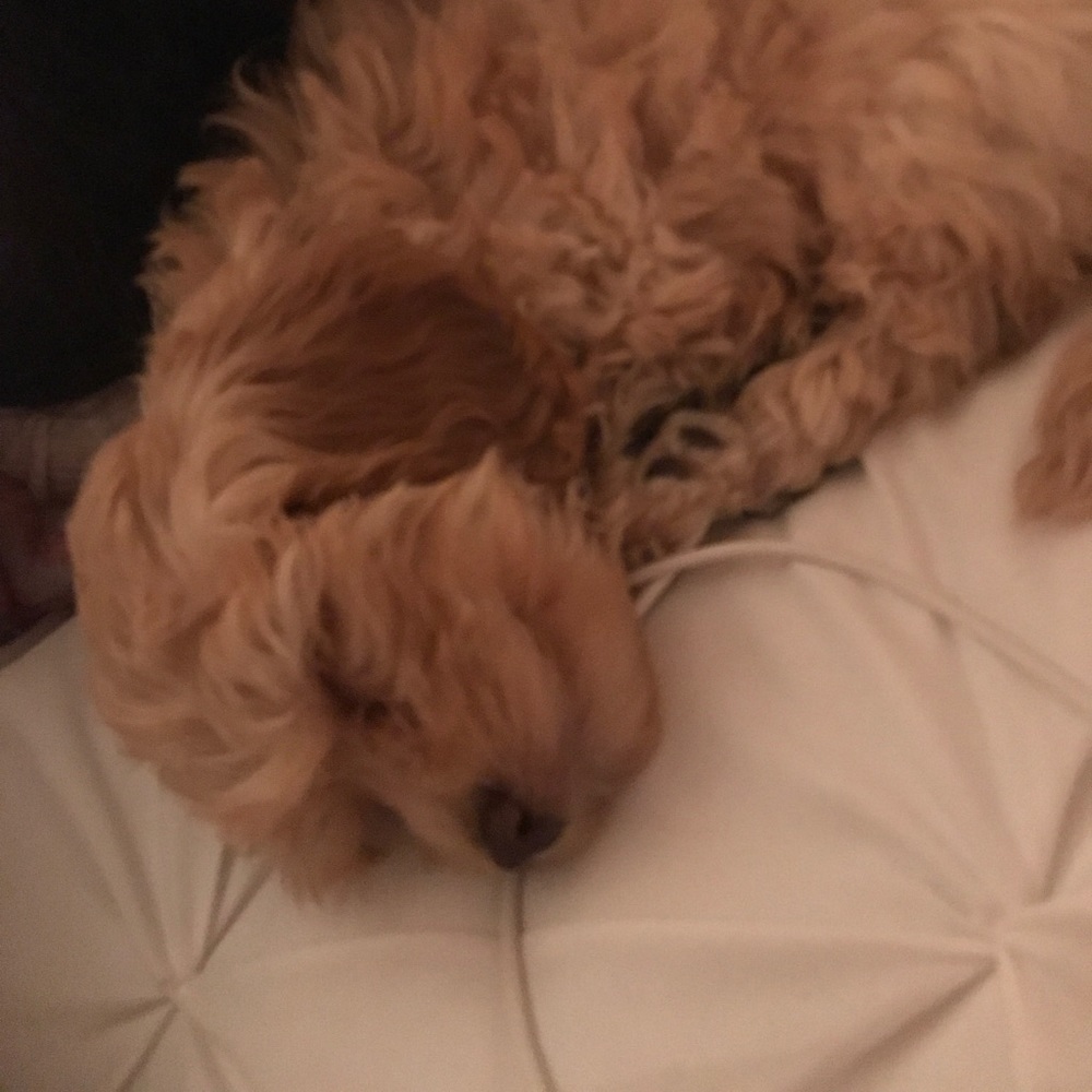 Meet your Posher, Jaqueline