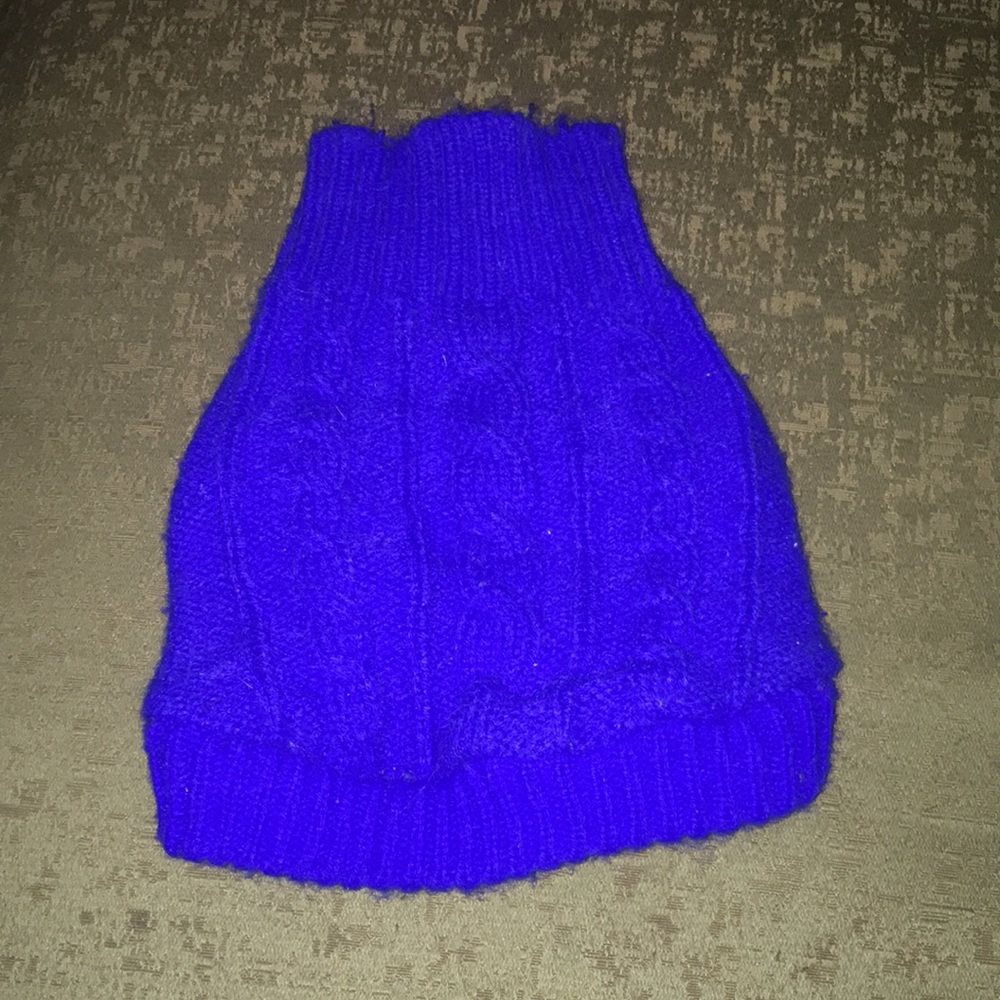 Blue sweater for a small dog