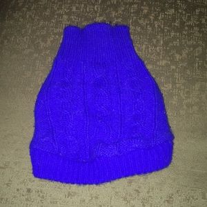 Blue sweater for a small dog