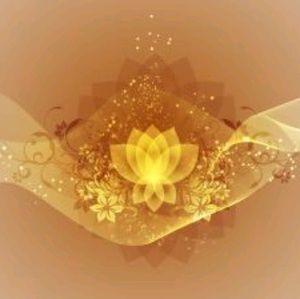 Meet your Posher, Heidi