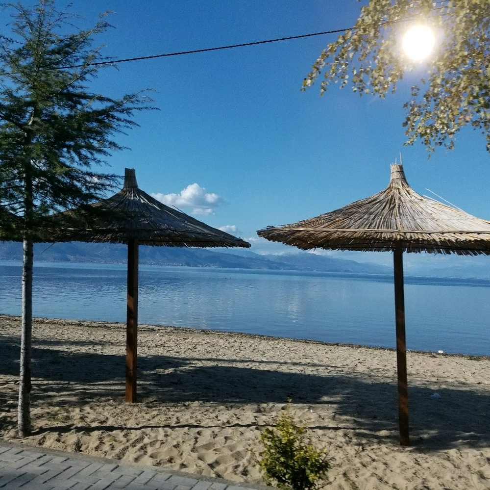 Meet your Posher, Vilma