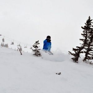 Meet your Posher, Matt