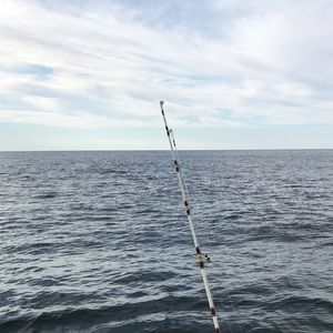 Meet your Posher, Leeanne