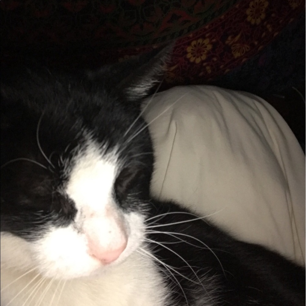 Meet your Posher, Kai