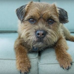 Meet your Posher, What's up it's dana