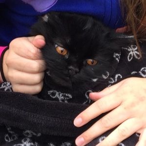 Meet your Posher, Libby