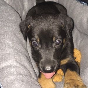 Meet your Posher, Alison