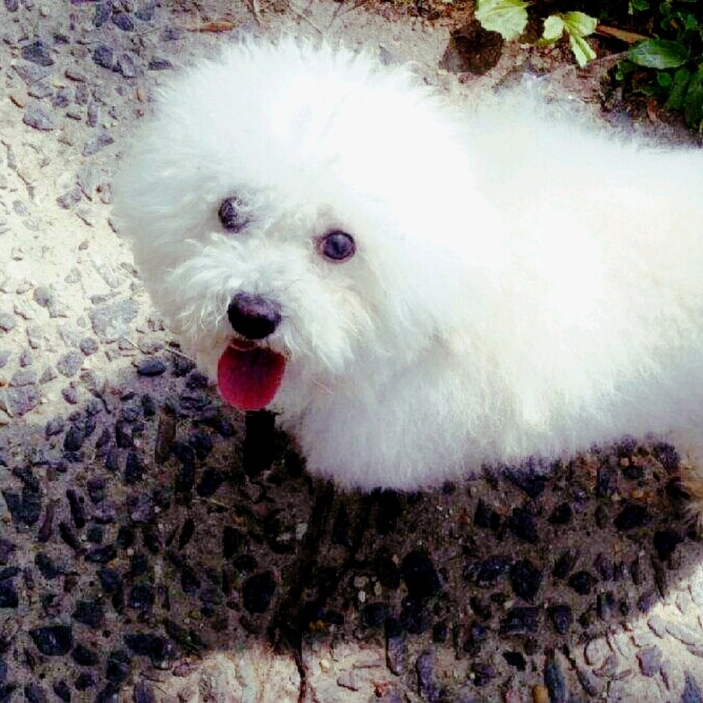 Meet your Posher, Yona