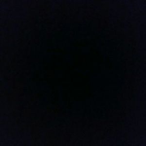 Meet your Posher, Camille