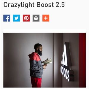 RARE Adidas James Harden Crazylight Boost 2.5 PE