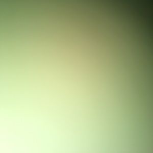 Meet your Posher, Karina