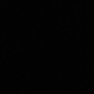 Meet your Posher, Sadie