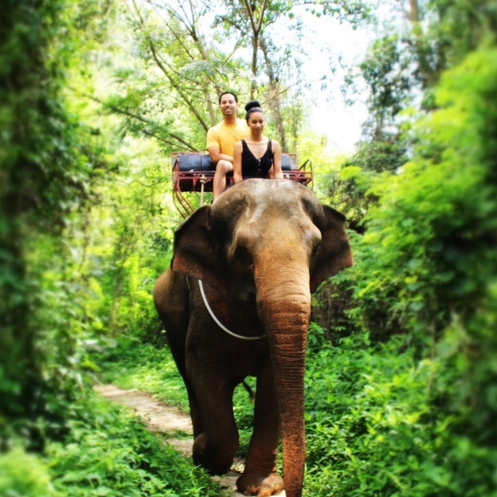 Meet your Posher, Bianca