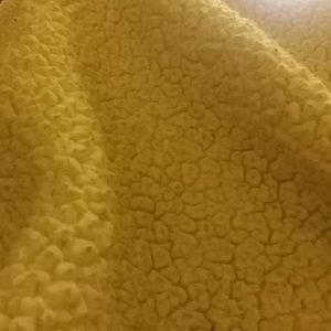 Meet your Posher, Tasha