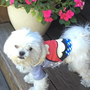 Vintage Rolling Stones band T-shirt for dogs!