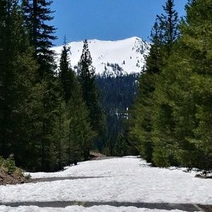 Meet your Posher, Teresa