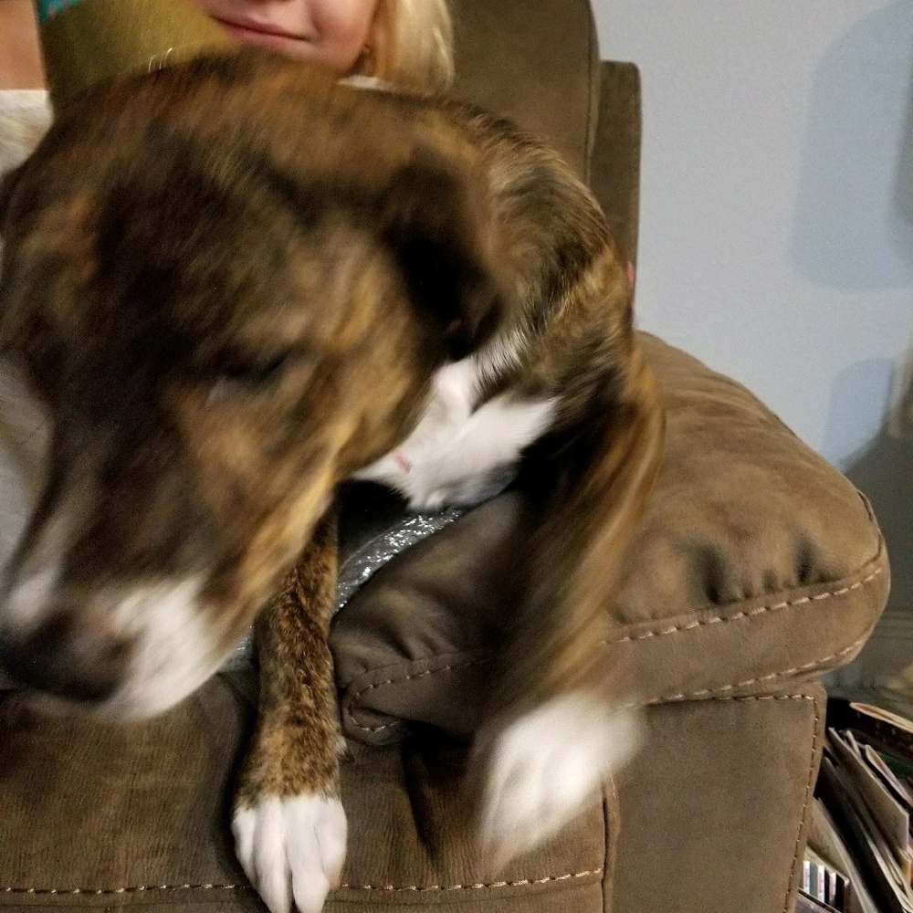 Meet your Posher, Tania