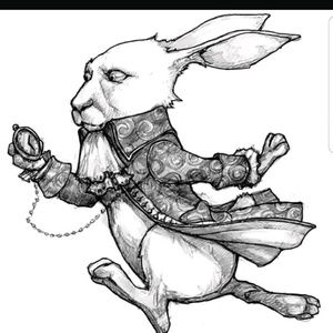 Meet your Posher, Sandy