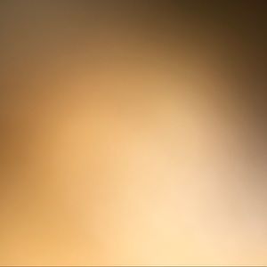 Meet your Posher, Jake