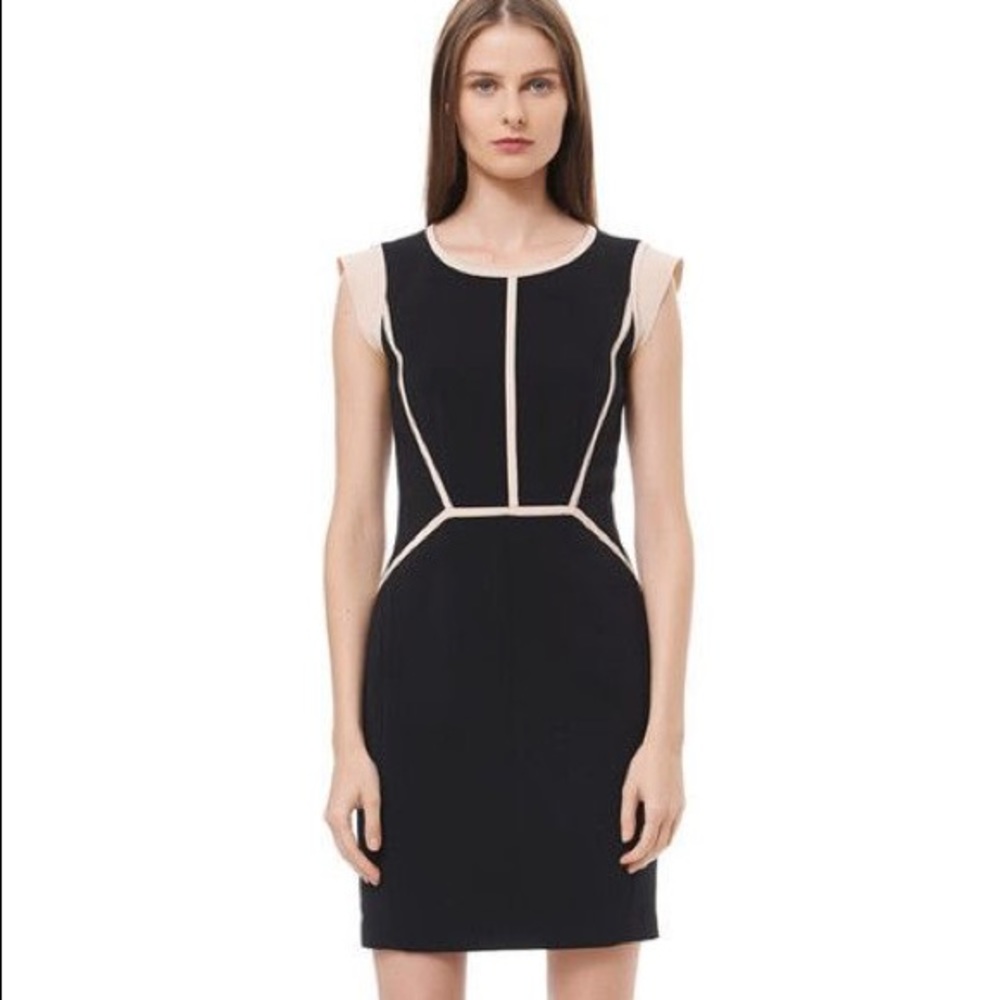 Rebecca Taylor capped sleeve shift dress