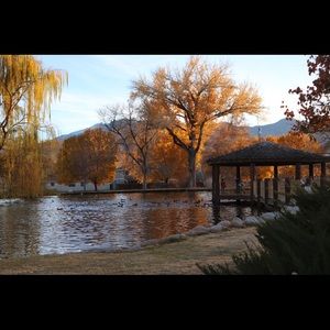 Meet your Posher, Caroline